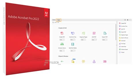 Adobe Acrobat Pro 2025 Free Download File
