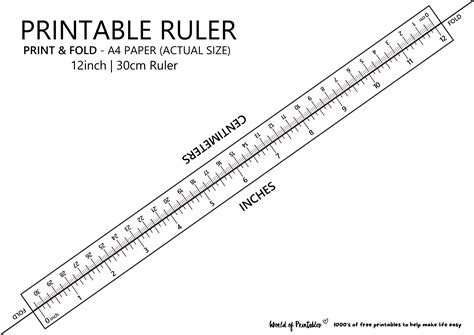 Download Ruler 2.1 2025